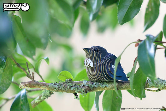 Tui