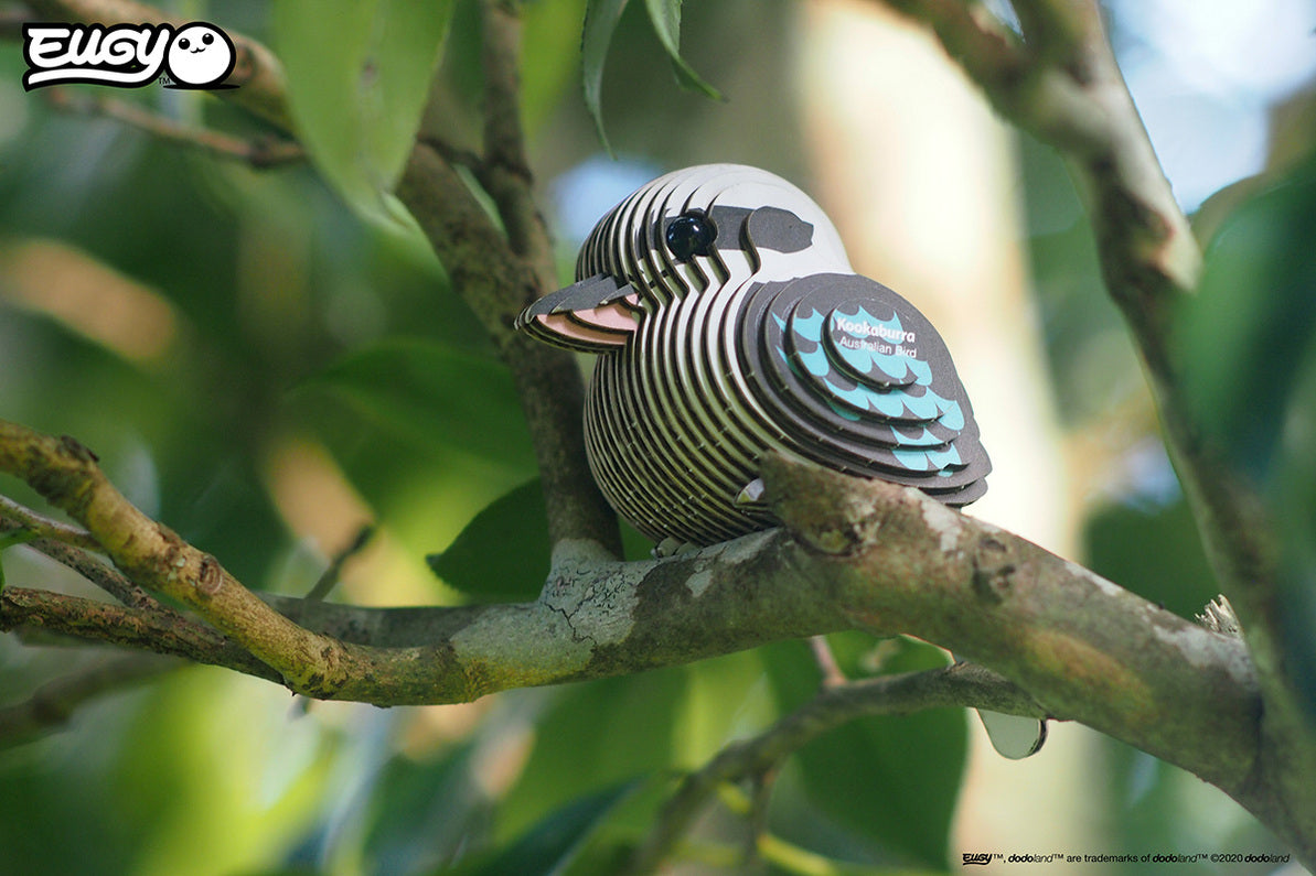 Kookaburra