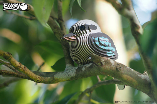 Kookaburra